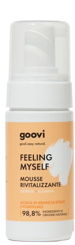 GOOVI MOUSSE DETERGENTE RIVIT